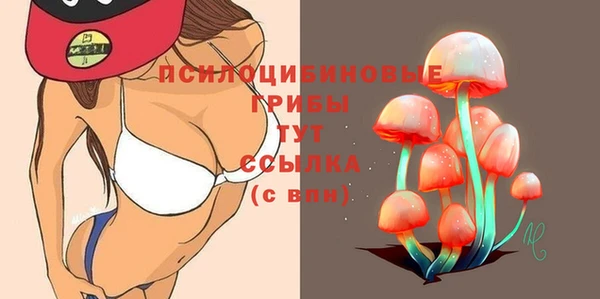 молекула духа Аркадак